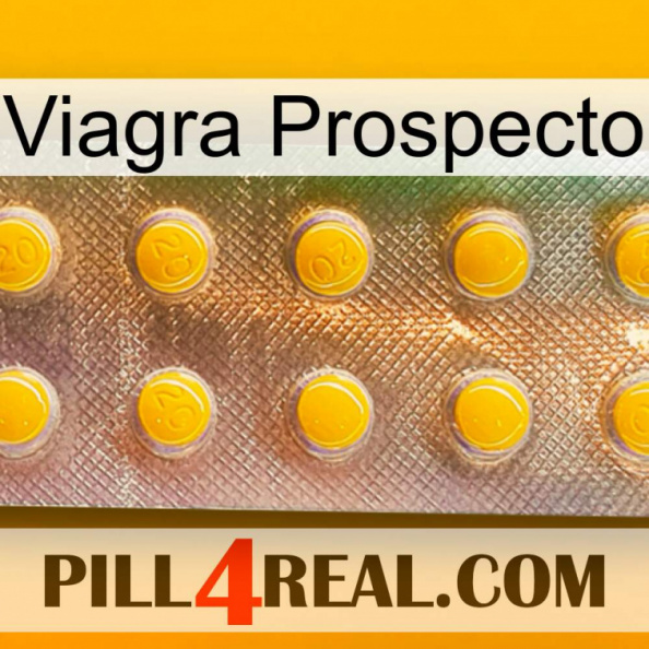 Prospecto Viagra new11.jpg